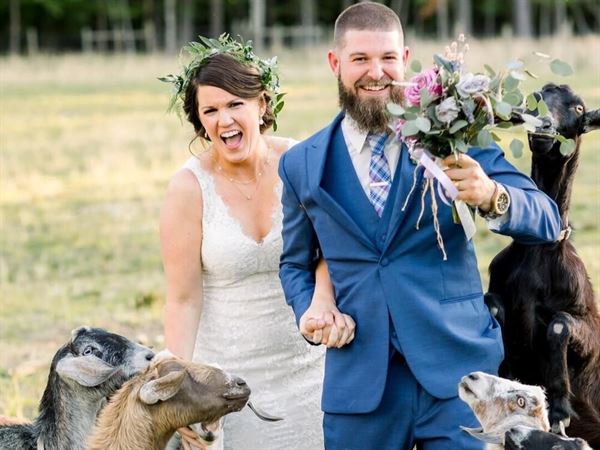 Chapel Hill Carriage House