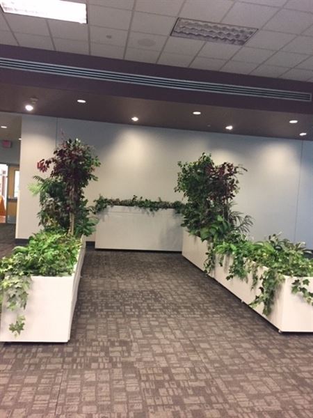 Southeast Regional Library- Town of Gilbert