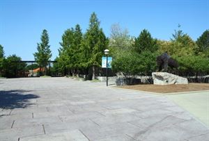 Bison Plaza