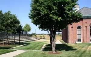 Pumphouse Amphitheatre