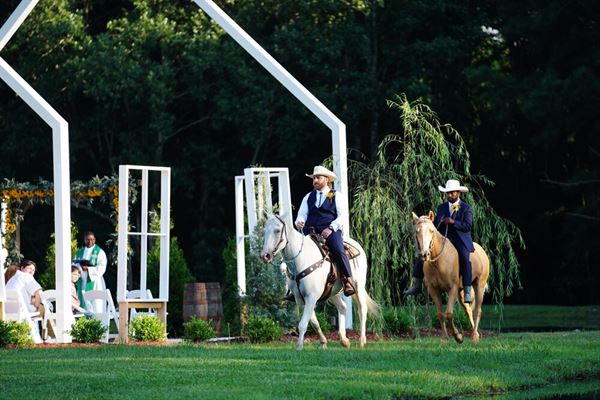 Blueberry Peace Farm