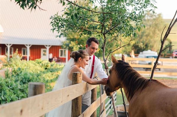Red Barn Farm Of Northfield