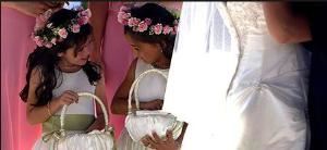 Ron Parks Photography