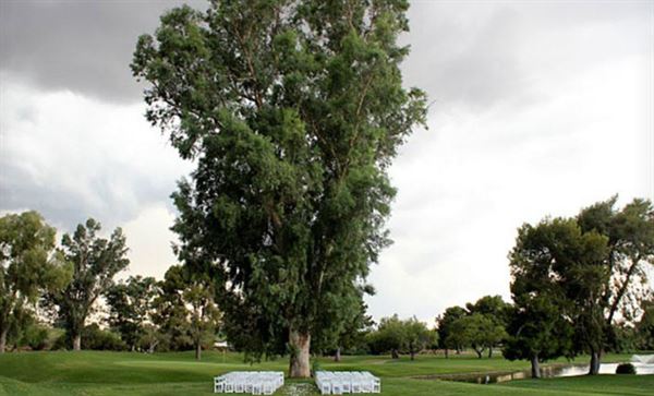 Oro Valley Country Club
