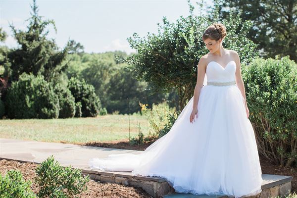 The Linden Manor - Between Two Bridges