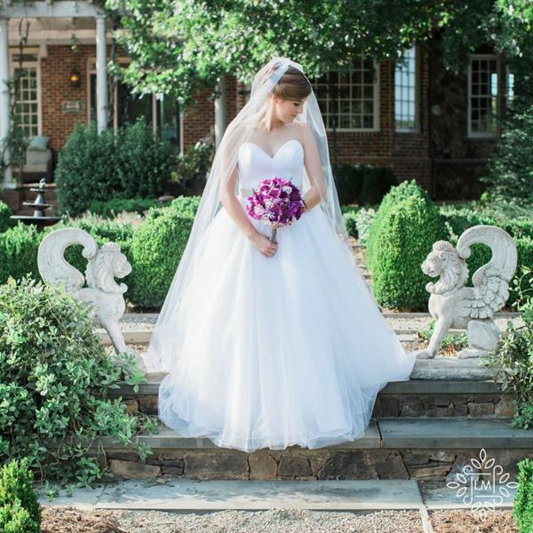 The Linden Manor - Between Two Bridges