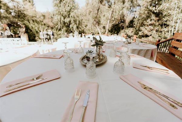 High Sierra Iris and Wedding Gardens