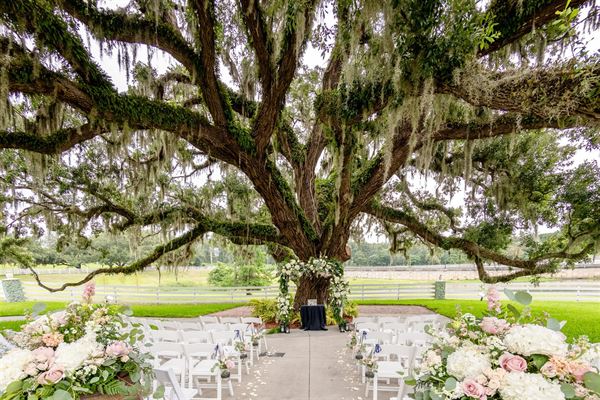 Highland Manor Apoka