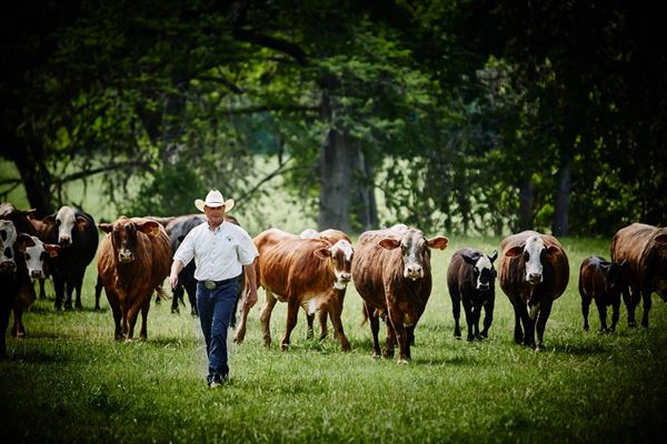 Knibbe Ranch Weddings