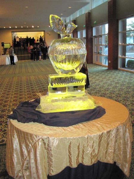 Ice Age Ice Sculptures & Custom Cocktail Ice