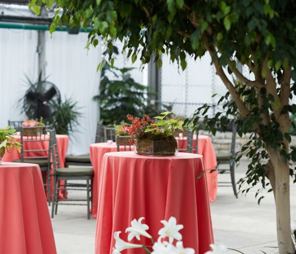 The Horticulture Center