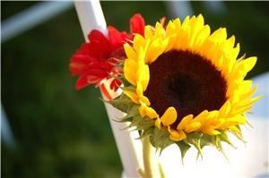 Jessica Kennedy Photography