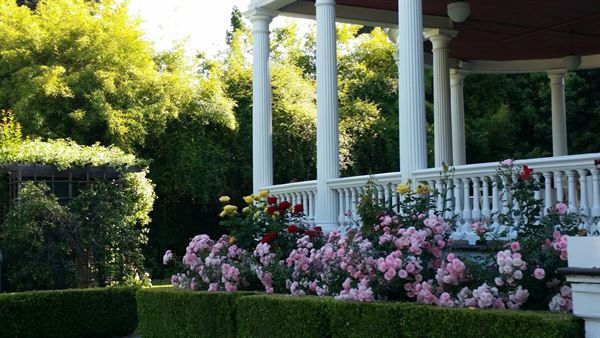 Churchill Manor Bed and Breakfast