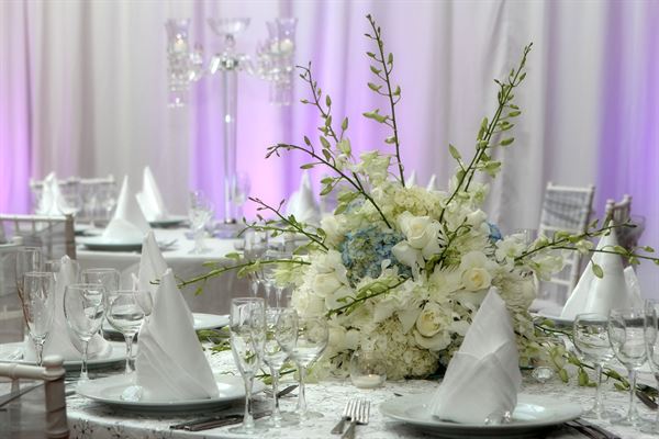 St. Petersburg Marriott Clearwater