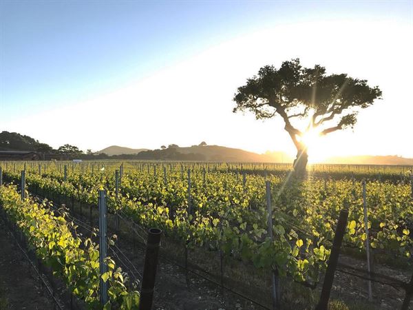 Brick Barn Wine Estate