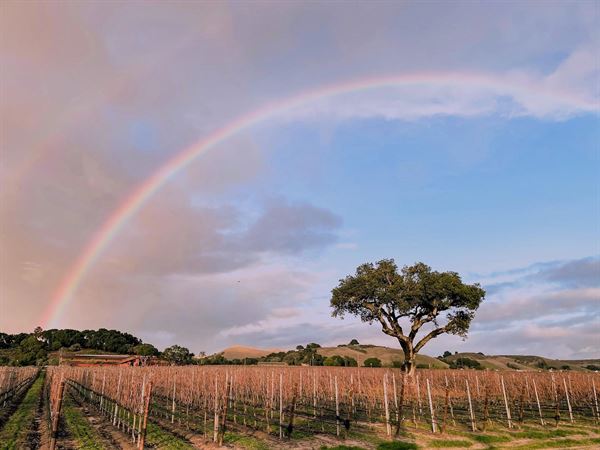 Brick Barn Wine Estate