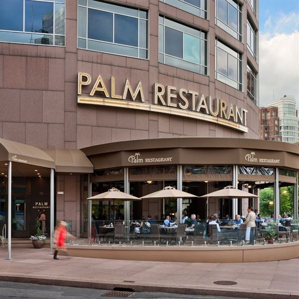 Palm: Boston