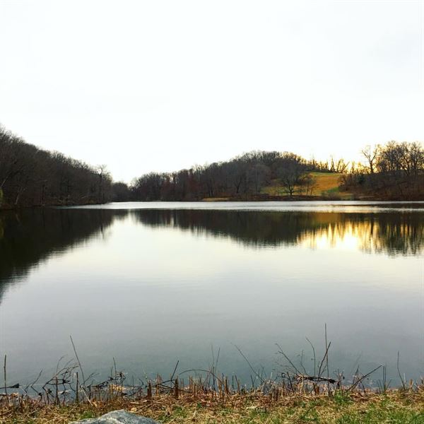 Blue Hill At Stone Barns