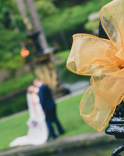 True Photography by Ellis