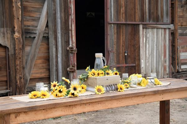 Pine Cone Avenue Social