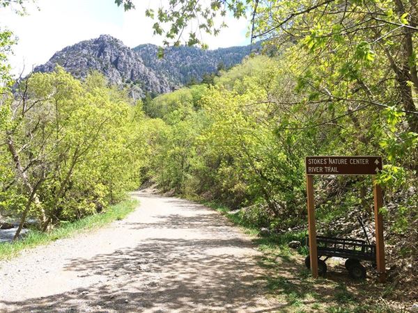 Allen & Alice Stokes Nature Center