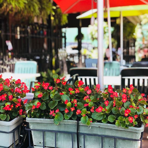 Aristocrat Pub & Restaurant