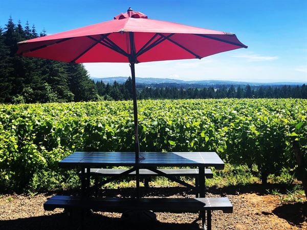 Ardiri Winery & Vineyards