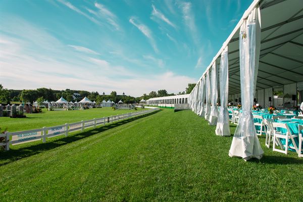 Creative Consulting Specialists, Inc.