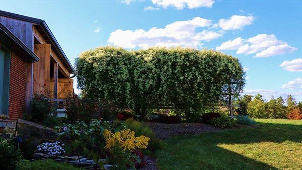 Wilson's Bittersweet Barn