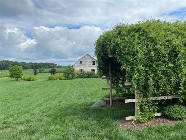 Wilson's Bittersweet Barn