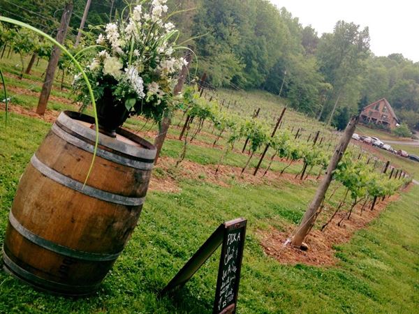 Paradise Hills, Winery Resort & Spa