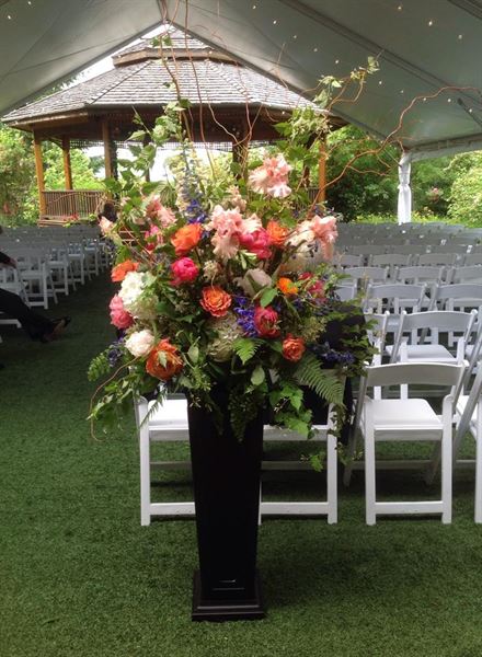 Paradise Springs Weddings and Events