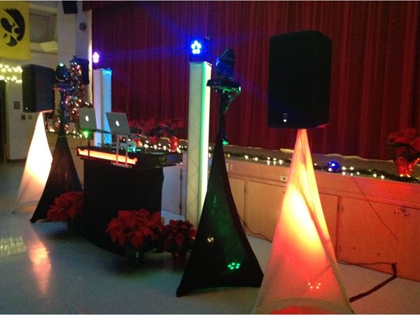 Majestik Vibez Entertainment