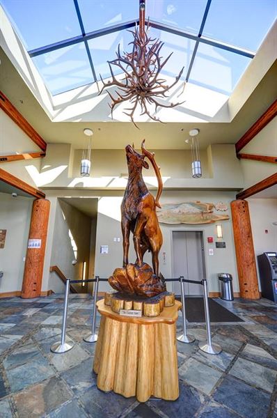 Allenmore Golf & Events Center