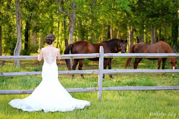 Vista at Walnut Hill