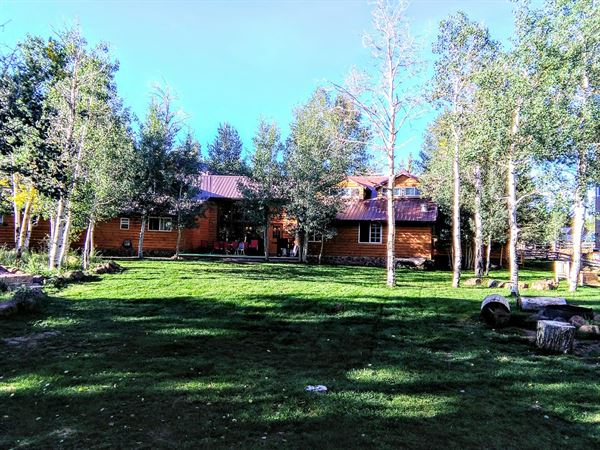 Alpine Forest Lodge