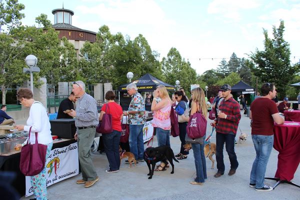 Authentic Street Taco