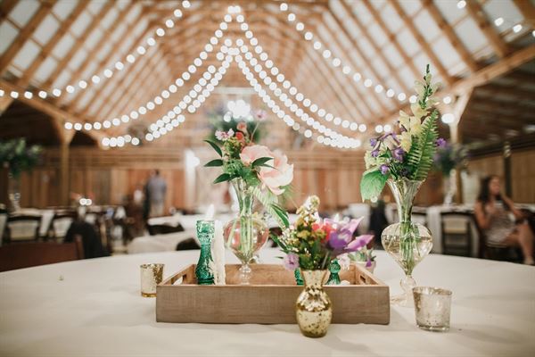 River View Family Farm