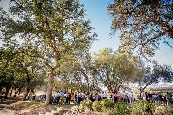 Hart 2 Hart Vineyards & Winery