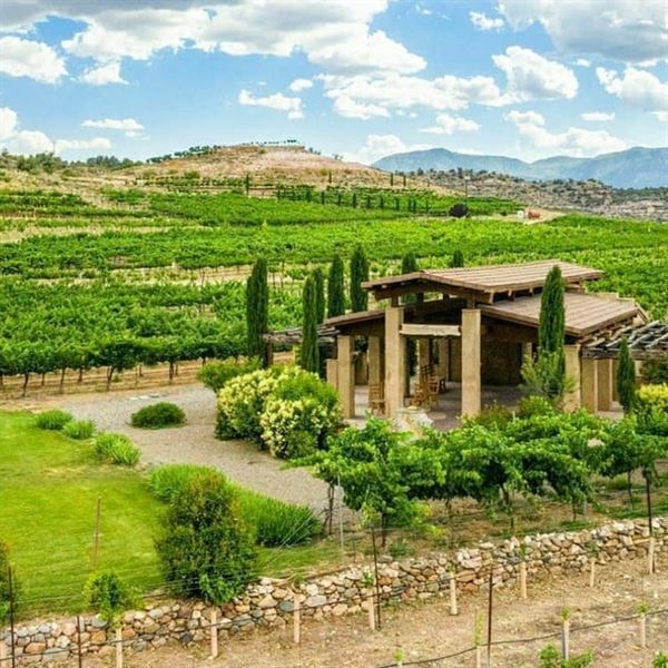 Alcantara Vineyards and Winery