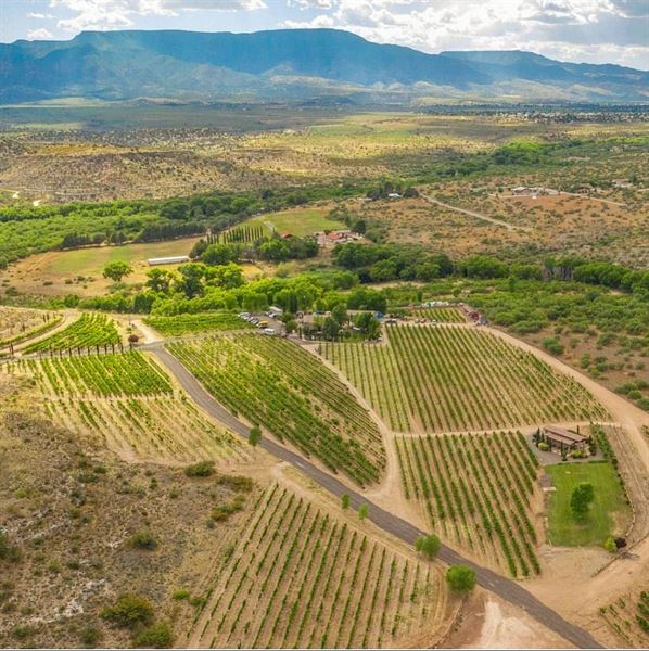 Alcantara Vineyards and Winery