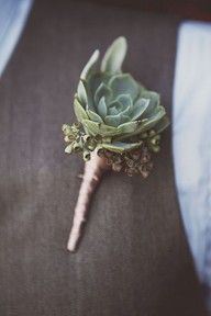 The Wild Iris Gifts & Botanicals LLC