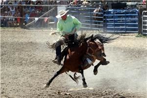 Kolshots Photography