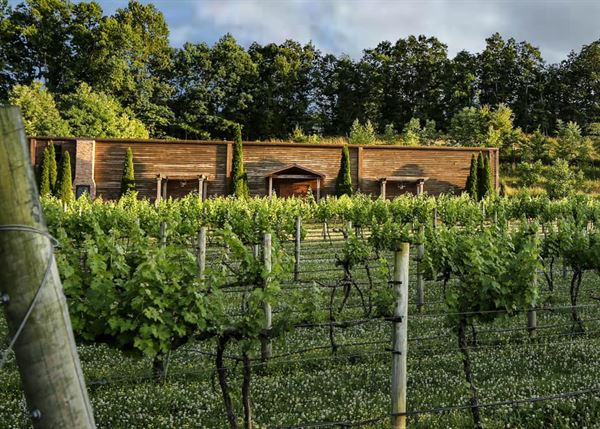 Natchez Hills Vineyard