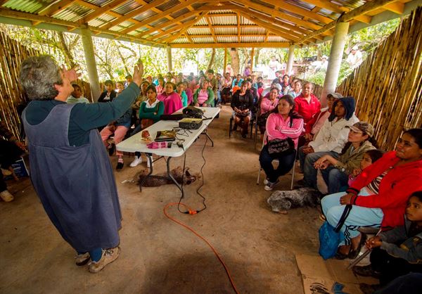 Mexican Cultural Institute