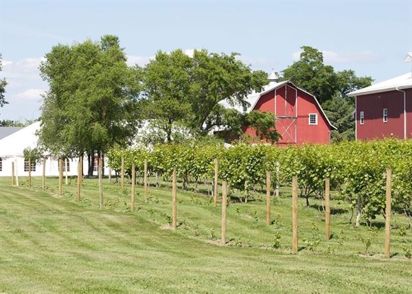 Thousand Islands Winery