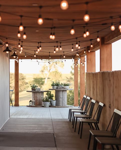 Little Lights on the Lane