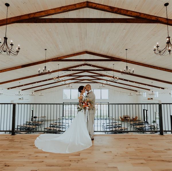 Little Lights on the Lane