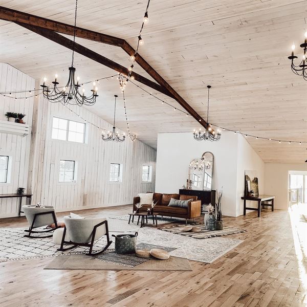 Little Lights on the Lane