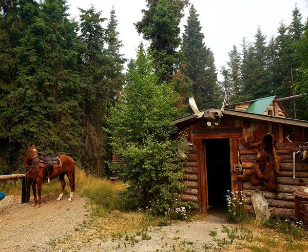 Alaska Horsemen Trail Adventures